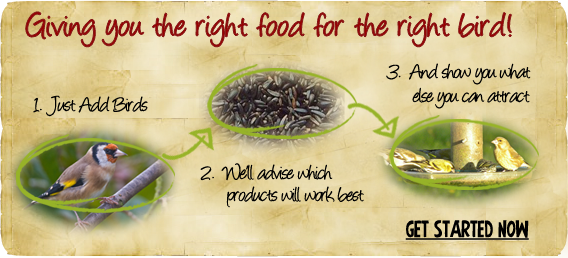 Just add birds - the right food for the right birds